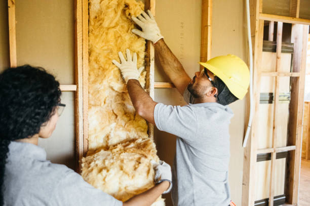 Best Insulation Replacement Services  in West Portsmouth, OH